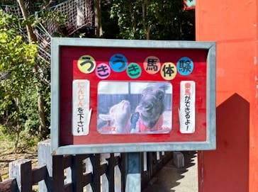 伊勢忍者キングダムに投稿された画像（2023/10/22）