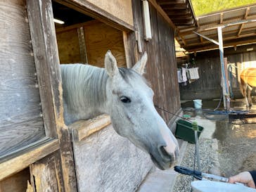 伊勢忍者キングダムに投稿された画像（2023/10/22）