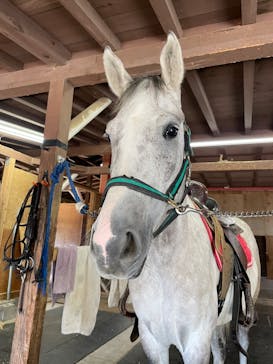 伊勢忍者キングダムに投稿された画像（2023/10/22）