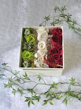 ずこうしつ〜sugamo〜に投稿された画像（2023/10/22）