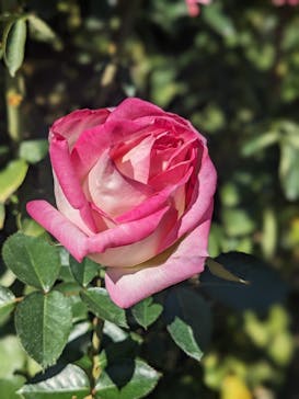 いばらきフラワーパークに投稿された画像（2023/10/22）