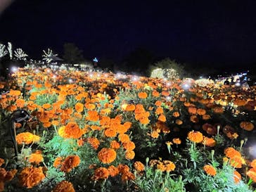 いばらきフラワーパークに投稿された画像（2023/10/22）