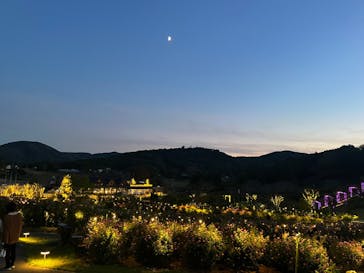 いばらきフラワーパークに投稿された画像（2023/10/22）