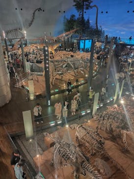 福井県立恐竜博物館に投稿された画像（2023/10/22）