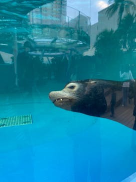 サンシャイン水族館に投稿された画像（2023/10/22）