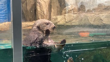 マリンワールド海の中道に投稿された画像（2023/10/22）