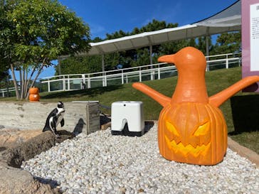 マリンワールド海の中道に投稿された画像（2023/10/22）