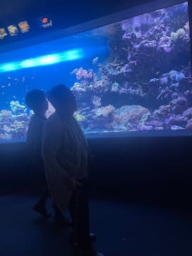 サンシャイン水族館に投稿された画像（2023/10/22）