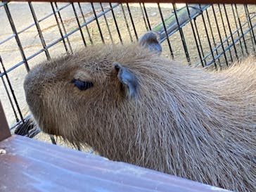 長崎バイオパークに投稿された画像（2023/10/22）