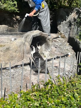 サンシャイン水族館に投稿された画像（2023/10/22）