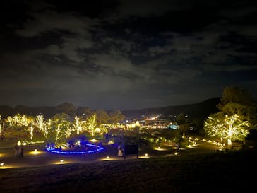 いばらきフラワーパークに投稿された画像（2023/10/22）