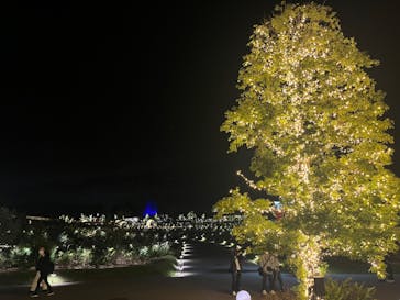 いばらきフラワーパークに投稿された画像（2023/10/22）