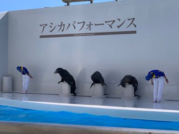 鴨川シーワールドに投稿された画像（2023/10/22）