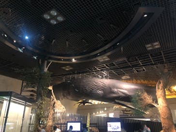 国立科学博物館に投稿された画像（2023/10/22）