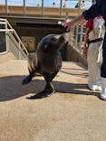 アクアワールド茨城県大洗水族館に投稿された画像（2023/10/22）