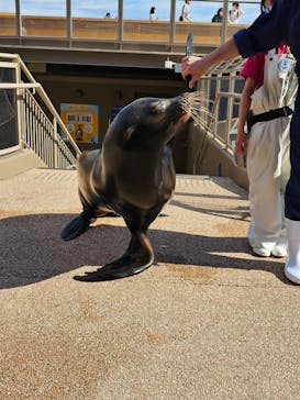アクアワールド茨城県大洗水族館に投稿された画像（2023/10/22）