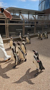 アクアワールド茨城県大洗水族館に投稿された画像（2023/10/22）