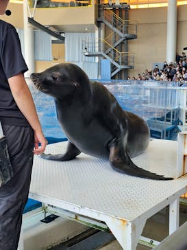アクアワールド茨城県大洗水族館に投稿された画像（2023/10/22）