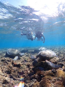 宮古島マリン GB QUESTに投稿された画像（2023/10/22）