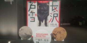特別展 生誕270年 長沢芦雪 ー奇想の旅、天才絵師の全貌ーに投稿された画像（2023/10/22）