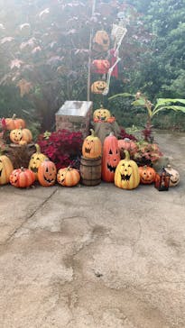 横浜イングリッシュガーデンに投稿された画像（2023/10/22）