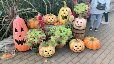 横浜イングリッシュガーデンに投稿された画像（2023/10/22）