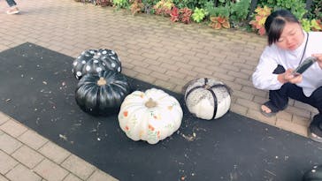 横浜イングリッシュガーデンに投稿された画像（2023/10/22）