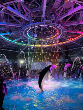 マクセル アクアパーク品川に投稿された画像（2023/10/22）