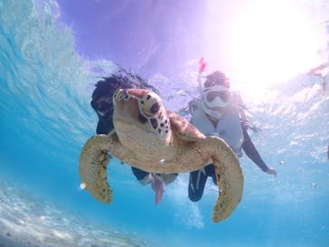 宮古島マリン GB QUESTに投稿された画像（2023/10/22）