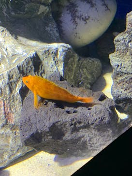 サンシャイン水族館に投稿された画像（2023/10/22）