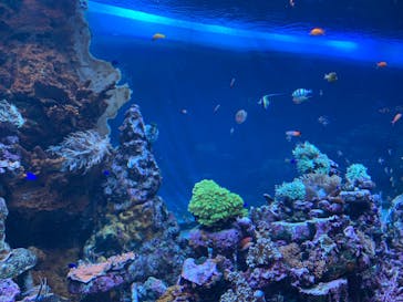 サンシャイン水族館に投稿された画像（2023/10/22）