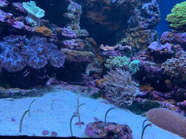 サンシャイン水族館に投稿された画像（2023/10/22）