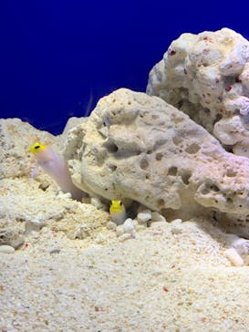 サンシャイン水族館に投稿された画像（2023/10/22）