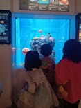 アクアワールド茨城県大洗水族館に投稿された画像（2023/10/22）