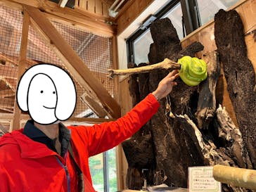 長崎バイオパークに投稿された画像（2023/10/22）