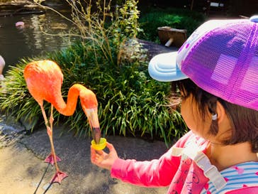 長崎バイオパークに投稿された画像（2023/10/22）