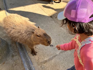 長崎バイオパークに投稿された画像（2023/10/22）