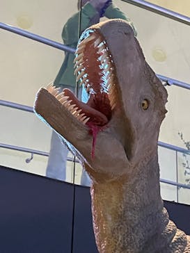 福井県立恐竜博物館に投稿された画像（2023/10/22）