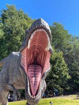 福井県立恐竜博物館に投稿された画像（2023/10/22）