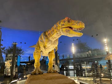 福井県立恐竜博物館に投稿された画像（2023/10/22）