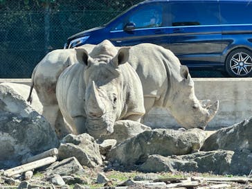 群馬サファリパークに投稿された画像（2023/10/22）