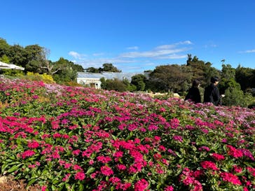 ニューヨークランプミュージアム＆フラワーガーデンに投稿された画像（2023/10/22）