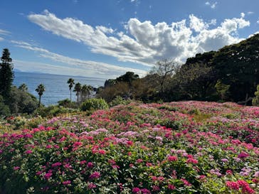 ニューヨークランプミュージアム＆フラワーガーデンに投稿された画像（2023/10/22）