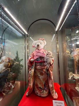 伊豆テディベア・ミュージアムに投稿された画像（2023/10/22）