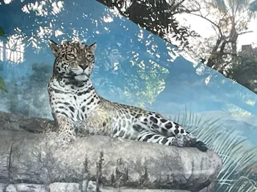 天王寺動物園に投稿された画像（2023/10/22）