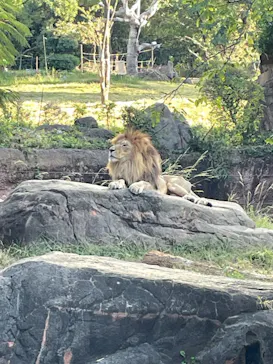 天王寺動物園に投稿された画像（2023/10/22）