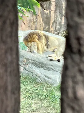 天王寺動物園に投稿された画像（2023/10/22）