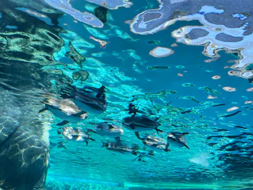 天王寺動物園に投稿された画像（2023/10/22）