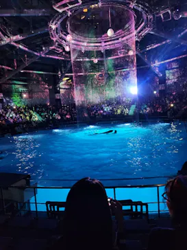 マクセル アクアパーク品川に投稿された画像（2023/10/22）