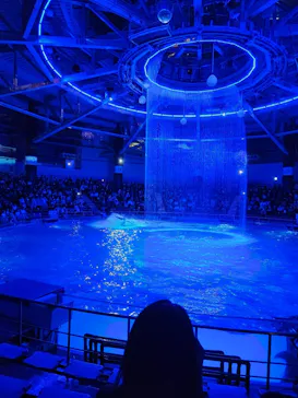 マクセル アクアパーク品川に投稿された画像（2023/10/22）